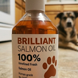 Perfecto para perros con alergias