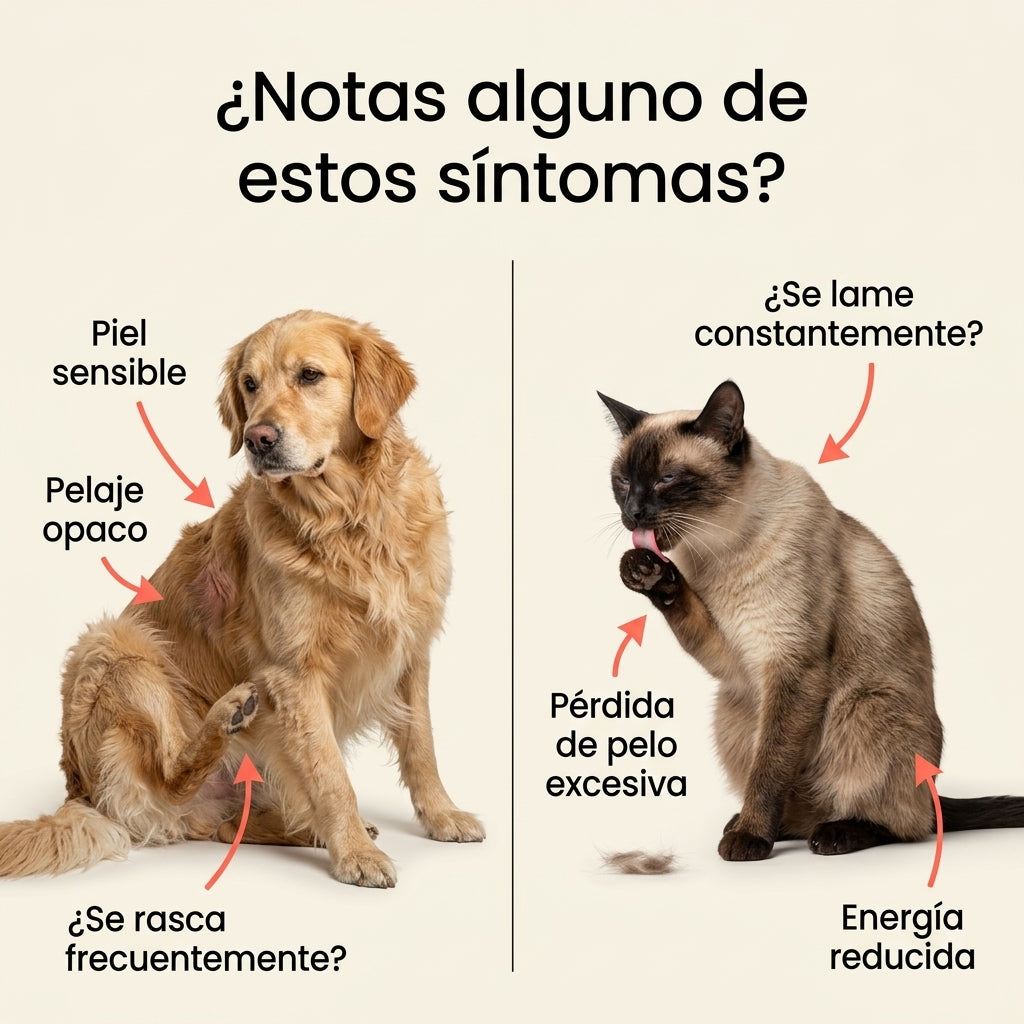 SalmonPet Omega 3™ - Piel, Pelaje y Vitalidad