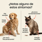 SalmonPet Omega 3™ - Piel, Pelaje y Vitalidad